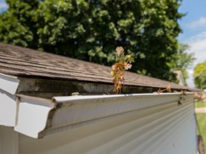 Damaged Gutter