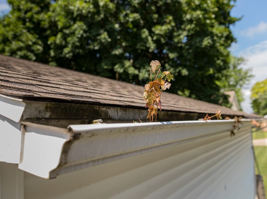 Damaged Gutter