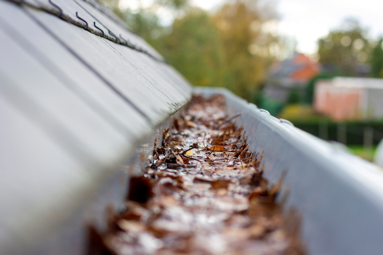 Close Up of Clogged Gutters During High Humidity - K-Guard Heartland