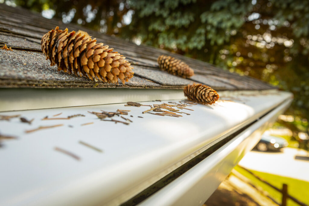 Pinecones On Top of Gutter Guard System - K-Guard Heartland