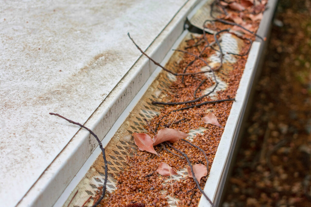A close view of a gutter full of leaves and debris.