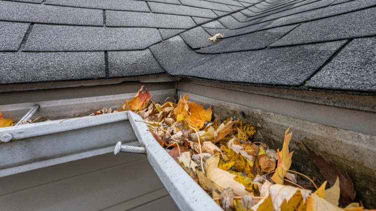 Close-up view of gutters packed with autumn leaves showing why heavily treed properties need gutter guards