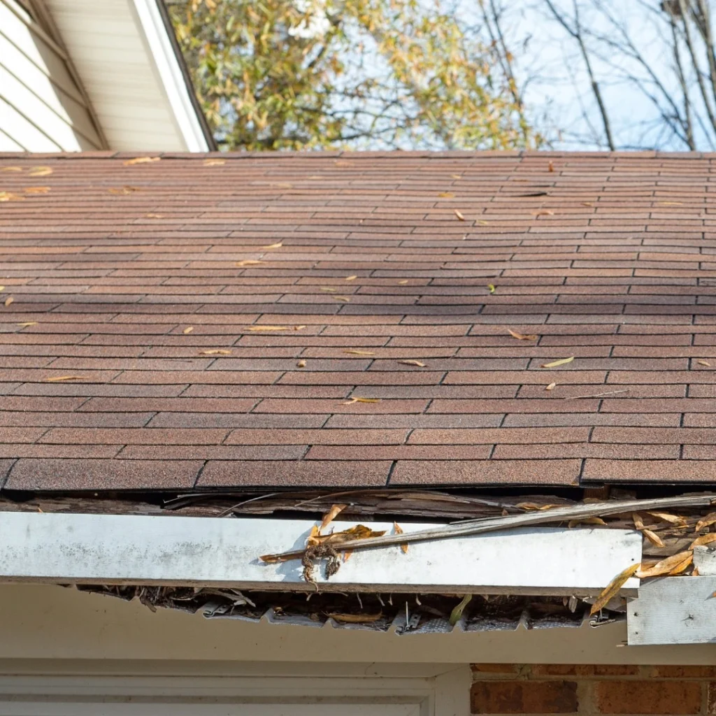 Visible storm damage to roof shingles and fascia on a residential home.
