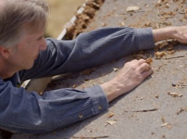 Gutter_Cleaning_Tips