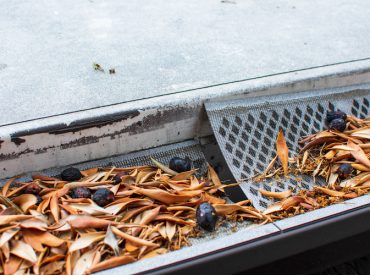 Close Up of Clogged Gutter Filters - K-Guard Heartland