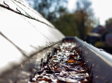 gutter with leaves