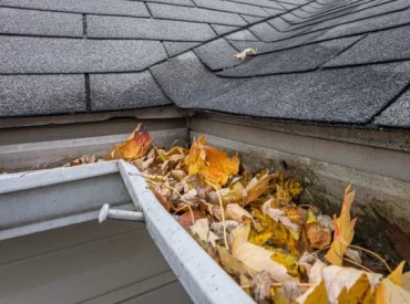 Close-up view of gutters packed with autumn leaves showing why heavily treed properties need gutter guards